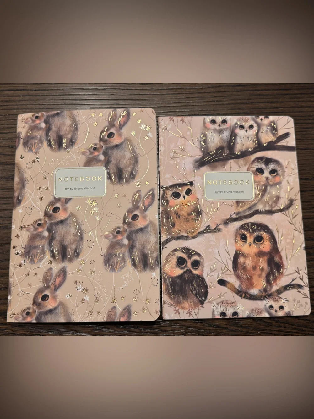 2 Pack Gorgeous Soft Touch Journals - BV by Bruno Visconti - Amazing Unique Gift